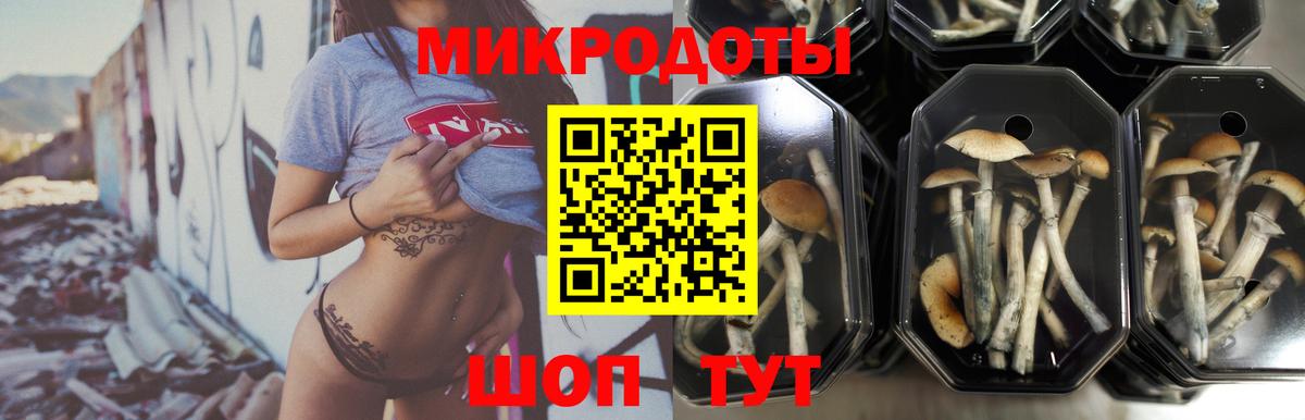 Псилоцибиновые грибы Cubensis  Вход с VPN  Новочебоксарск 